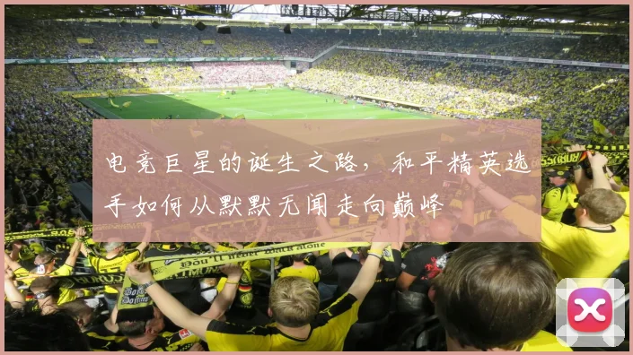 电竞巨星的诞生之路，和平精英选手如何从默默无闻走向巅峰