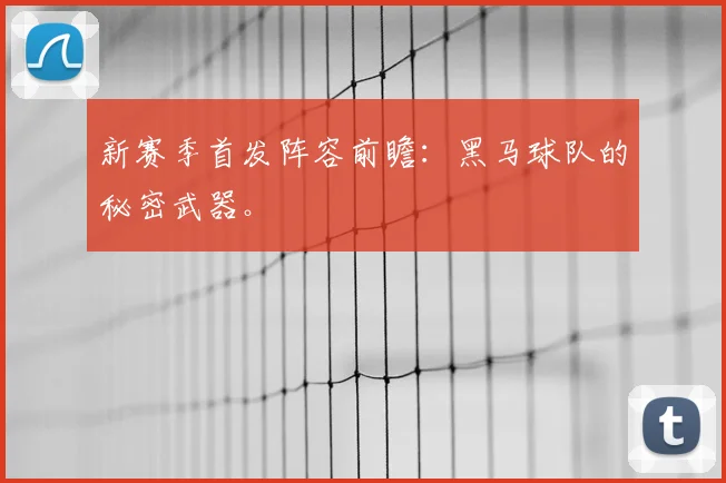 新赛季首发阵容前瞻：黑马球队的秘密武器。